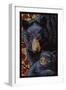 Black Bears - Paper Mosaic-Lantern Press-Framed Art Print