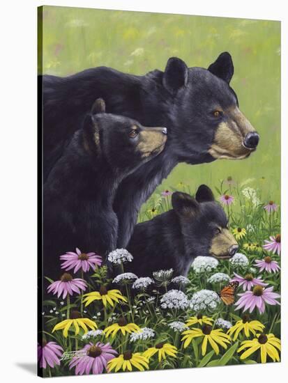 Black Bears-Fred Szatkowski-Stretched Canvas