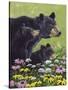 Black Bears-Fred Szatkowski-Stretched Canvas