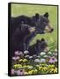 Black Bears-Fred Szatkowski-Framed Stretched Canvas