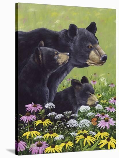 Black Bears-Fred Szatkowski-Stretched Canvas