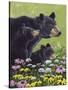 Black Bears-Fred Szatkowski-Stretched Canvas