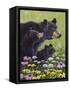 Black Bears-Fred Szatkowski-Framed Stretched Canvas