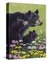 Black Bears-Fred Szatkowski-Stretched Canvas