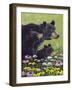 Black Bears-Fred Szatkowski-Framed Art Print