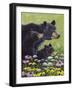 Black Bears-Fred Szatkowski-Framed Art Print