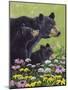 Black Bears-Fred Szatkowski-Mounted Art Print