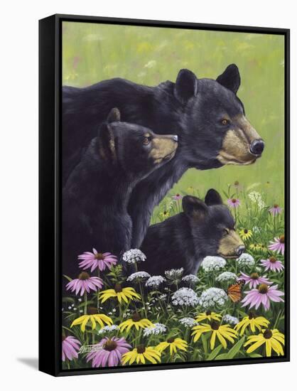 Black Bears-Fred Szatkowski-Framed Stretched Canvas