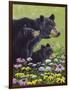 Black Bears-Fred Szatkowski-Framed Art Print