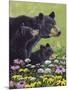 Black Bears-Fred Szatkowski-Mounted Art Print