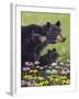 Black Bears-Fred Szatkowski-Framed Art Print