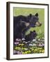 Black Bears-Fred Szatkowski-Framed Art Print