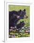 Black Bears-Fred Szatkowski-Framed Art Print