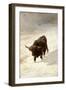 Black Beast Wanderer-Joseph Denovan Adam-Framed Giclee Print