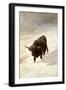 Black Beast Wanderer-Joseph Denovan Adam-Framed Giclee Print