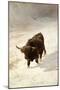 Black Beast Wanderer-Joseph Denovan Adam-Mounted Giclee Print