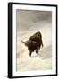 Black Beast Wanderer-Joseph Denovan Adam-Framed Giclee Print