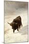 Black Beast Wanderer-Joseph Denovan Adam-Mounted Giclee Print