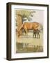 Black Beauty and Mother-null-Framed Art Print