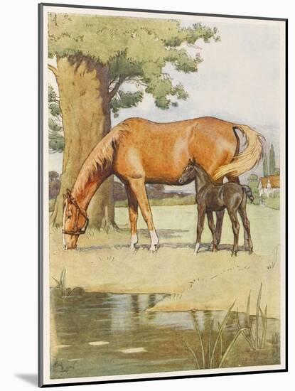 Black Beauty and Mother-null-Mounted Art Print