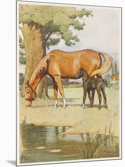 Black Beauty and Mother-null-Mounted Art Print