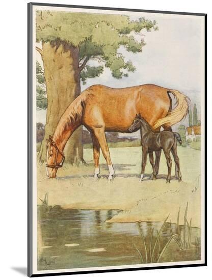 Art Print, , large