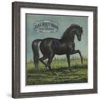 Black Beauty Brand - William Hills, California - Citrus Crate Label-Lantern Press-Framed Art Print