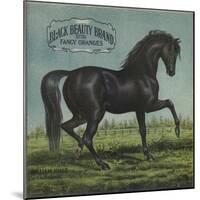 Black Beauty Brand - William Hills, California - Citrus Crate Label-Lantern Press-Mounted Art Print