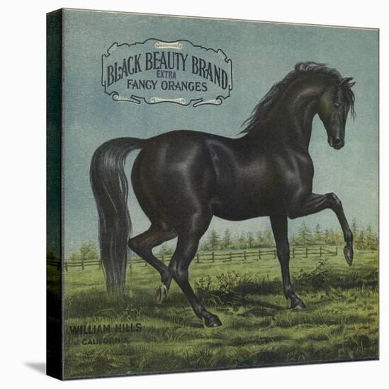 Black Beauty Brand - William Hills, California - Citrus Crate Label-Lantern Press-Stretched Canvas