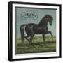 Black Beauty Brand - William Hills, California - Citrus Crate Label-Lantern Press-Framed Premium Giclee Print