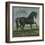 Black Beauty Brand - William Hills, California - Citrus Crate Label-Lantern Press-Framed Art Print