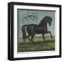 Black Beauty Brand - William Hills, California - Citrus Crate Label-Lantern Press-Framed Art Print