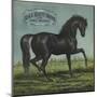 Black Beauty Brand - William Hills, California - Citrus Crate Label-Lantern Press-Mounted Art Print