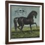 Black Beauty Brand - William Hills, California - Citrus Crate Label-Lantern Press-Framed Art Print