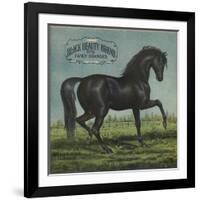 Black Beauty Brand - William Hills, California - Citrus Crate Label-Lantern Press-Framed Art Print