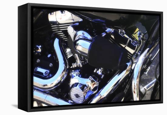 Black Beauty II-Alan Hausenflock-Framed Stretched Canvas