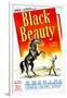 Black Beauty, Mona Freeman, 1946-null-Framed Art Print