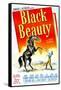 Black Beauty, Mona Freeman, 1946-null-Framed Stretched Canvas