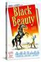 Black Beauty, Mona Freeman, 1946-null-Stretched Canvas