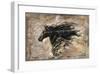 Black Beauty-Marta Wiley-Framed Giclee Print