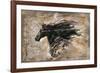 Black Beauty-Marta Wiley-Framed Giclee Print