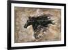 Black Beauty-Marta Wiley-Framed Giclee Print