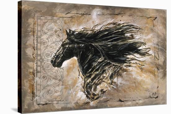 Black Beauty-Marta Wiley-Stretched Canvas