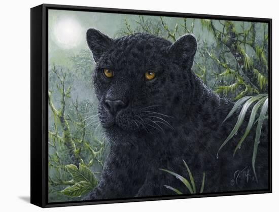 Black Beauty-Jeff Tift-Framed Stretched Canvas