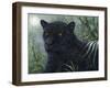 Black Beauty-Jeff Tift-Framed Premium Giclee Print