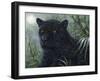 Black Beauty-Jeff Tift-Framed Premium Giclee Print