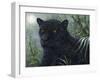 Black Beauty-Jeff Tift-Framed Premium Giclee Print