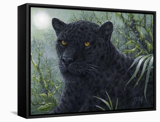 Black Beauty-Jeff Tift-Framed Stretched Canvas