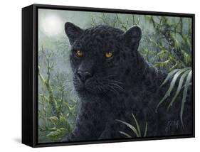 Black Beauty-Jeff Tift-Framed Stretched Canvas