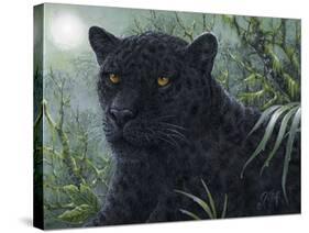 Black Beauty-Jeff Tift-Stretched Canvas